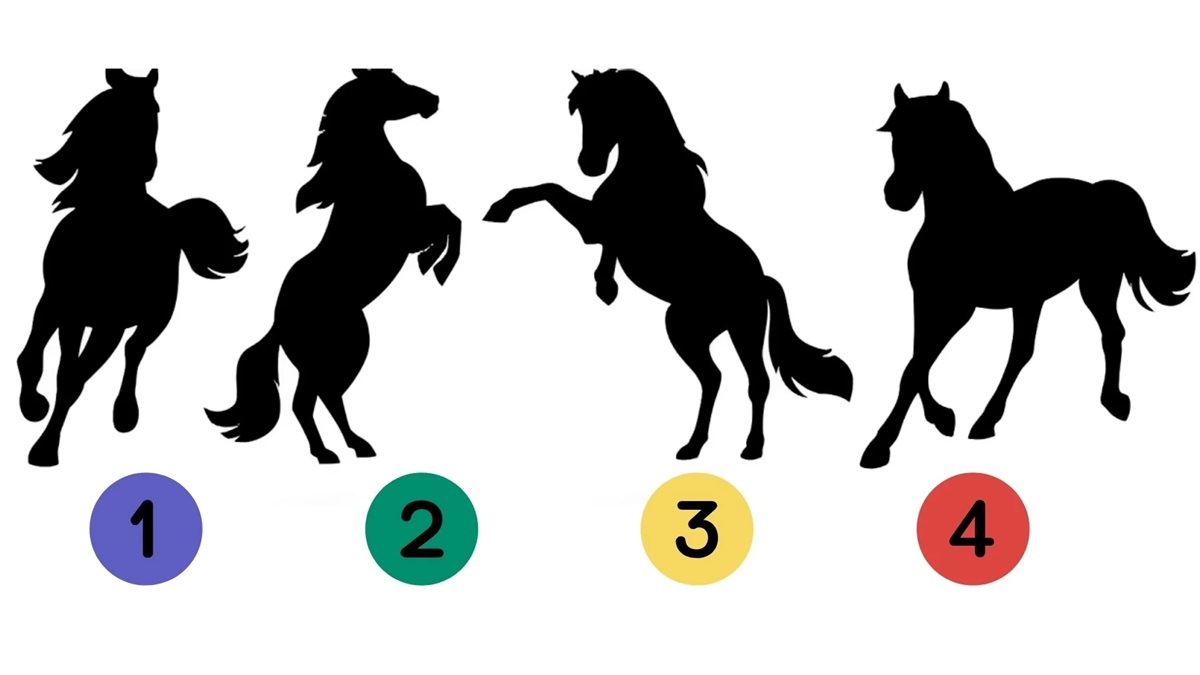Horse Shadow Personality Test