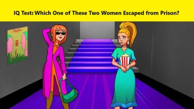 IQ Test with Spot the Escaped Prisoner