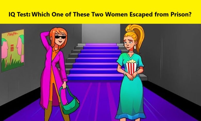 IQ Test with Spot the Escaped Prisoner