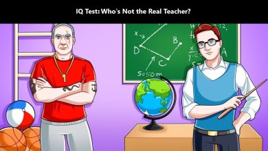 IQ Test with Spot the Fake Teacher