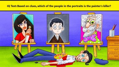 Iq Test  with spot the painter's killer