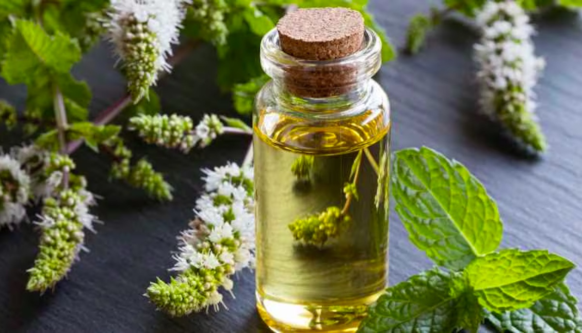 Cooling Peppermint Oil