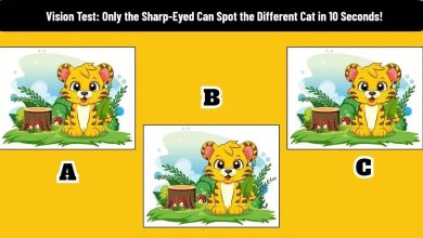 Visual Test with the Unique Baby Tiger