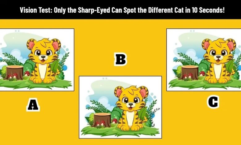 Visual Test with the Unique Baby Tiger