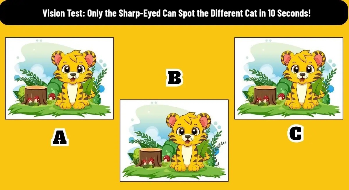 Visual Test with the Unique Baby Tiger