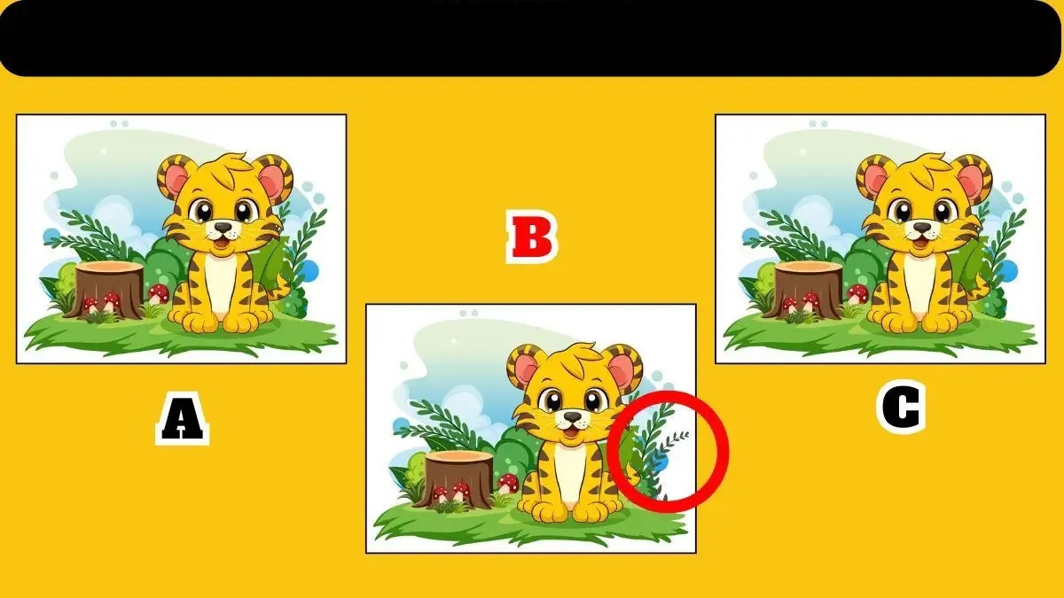 Visual Test with the Unique Baby Tiger