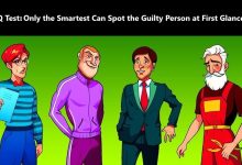 Criminal Identification Visual Test
