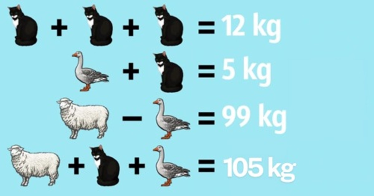 Animal Weight Sum Math Puzzle