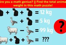 Animal Weight Sum Math Puzzle