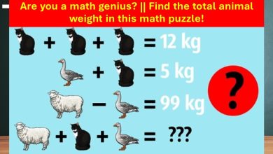 Animal Weight Sum Math Puzzle