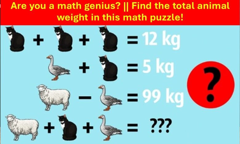 Animal Weight Sum Math Puzzle