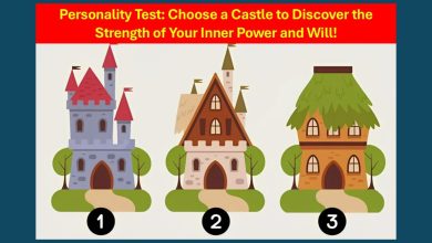 Castle Image Personality Test