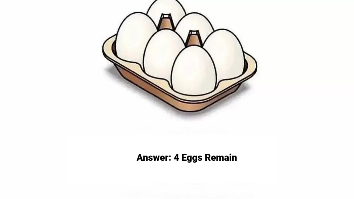 Egg Count Puzzle Test