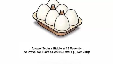 Egg Count Puzzle Test
