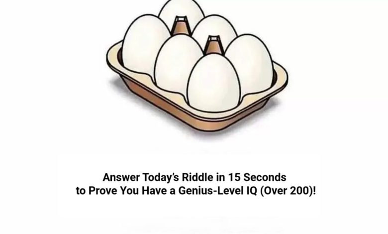Egg Count Puzzle Test