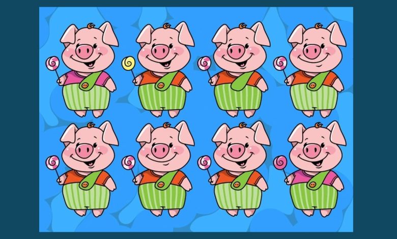 Guinea Pig Matching Test