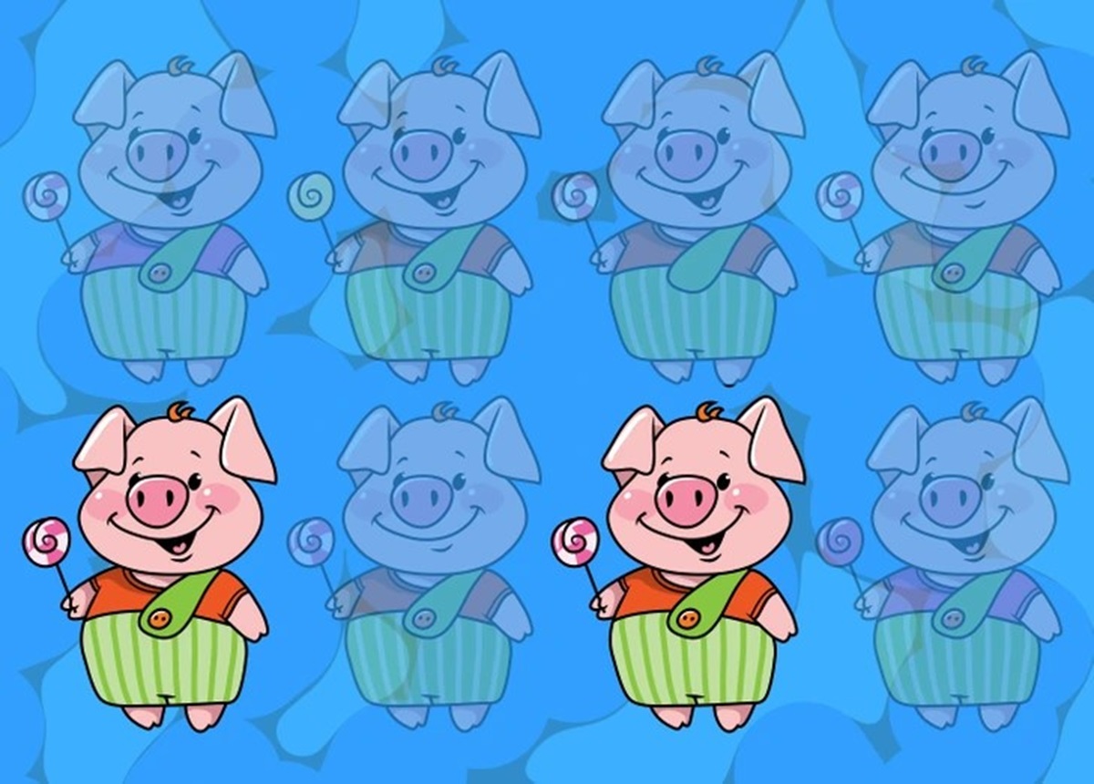 Guinea Pig Matching Test