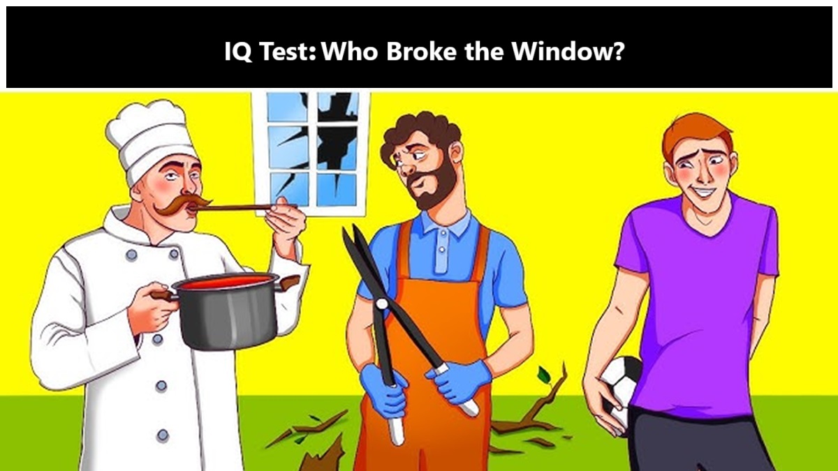 Who Broke the Window