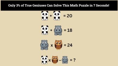 Math Puzzle with a Final Expression