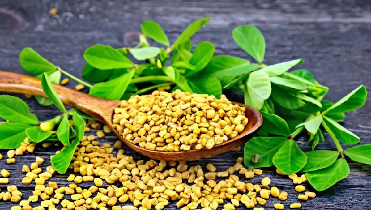 Methi seeds benefits for skin and hair