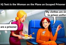 Reality-Based IQ Test on a Plane