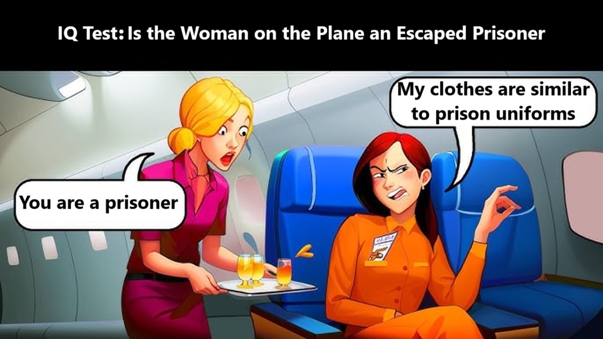 Reality-Based IQ Test on a Plane