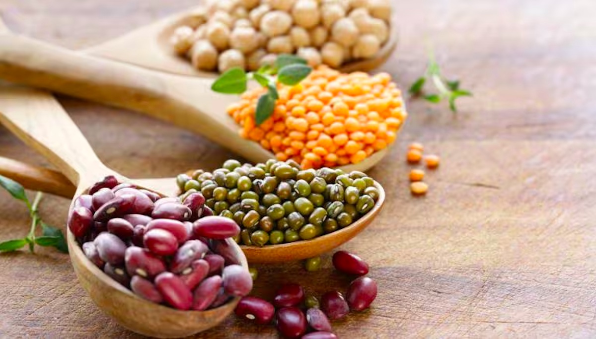 Weight loss foods