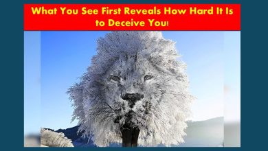 Lion and Tree Image Personality Test