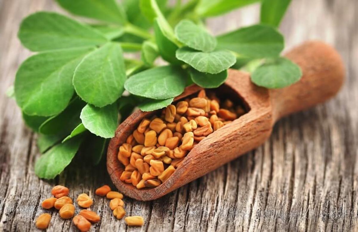 Methi seeds benefits for skin and hair