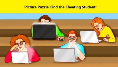 Cheating Student Visual Puzzle