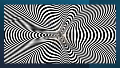Hidden Animal Optical Illusion Test