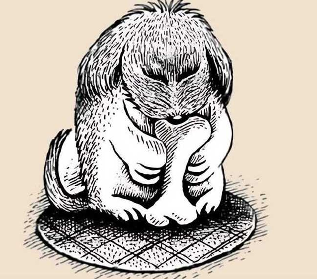 Hidden Dog Challenge