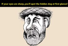 Hidden Dog Challenge