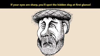 Hidden Dog Challenge