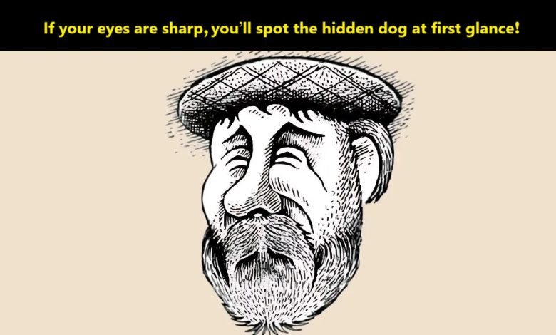Hidden Dog Challenge