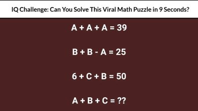 Math Puzzle With a Final Equation