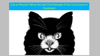 Optical Illusion Personality Test