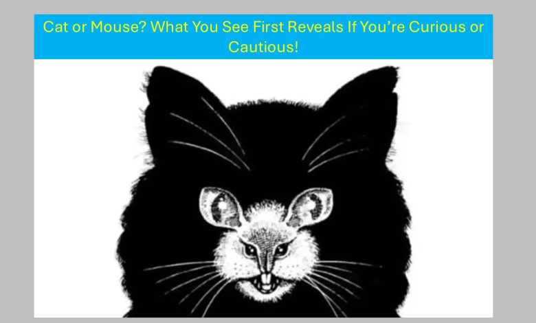 Optical Illusion Personality Test