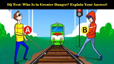 Risk Awareness IQ Puzzle