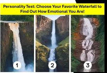 Waterfall Personality Test