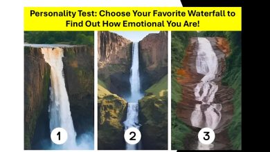 Waterfall Personality Test