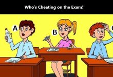 Spot the Cheating Student