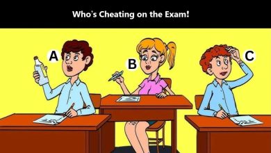 Spot the Cheating Student