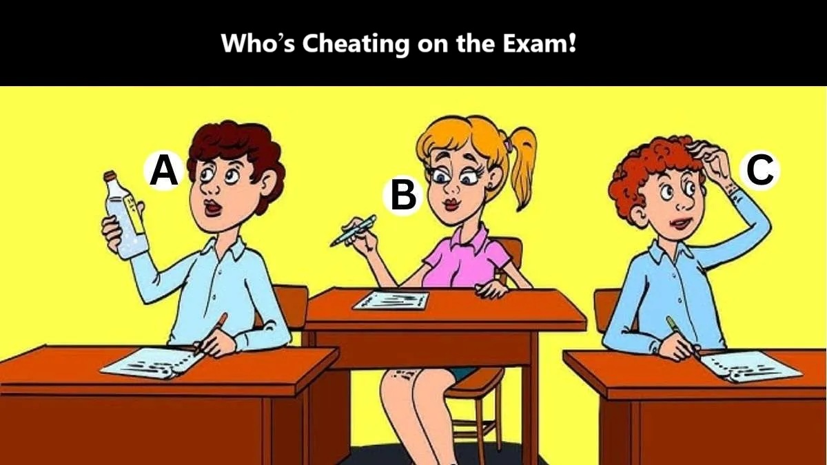 Spot the Cheating Student