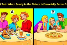 Spot the Wealthier Family