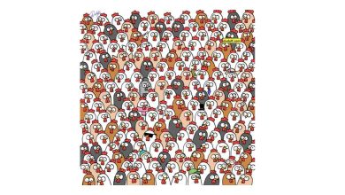 Test Your Visual Power by Finding the Owls