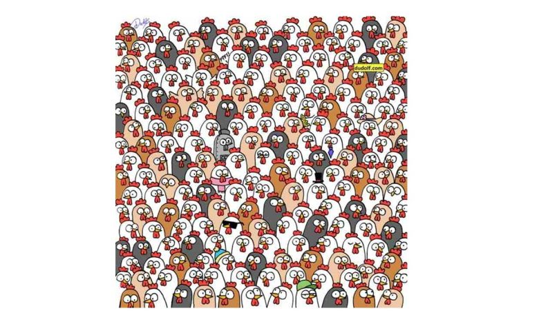 Test Your Visual Power by Finding the Owls