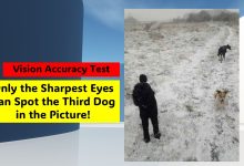 Vision Accuracy Test