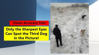 Vision Accuracy Test