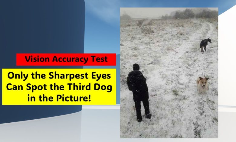 Vision Accuracy Test